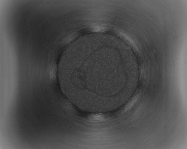 X0000102310325200808011428