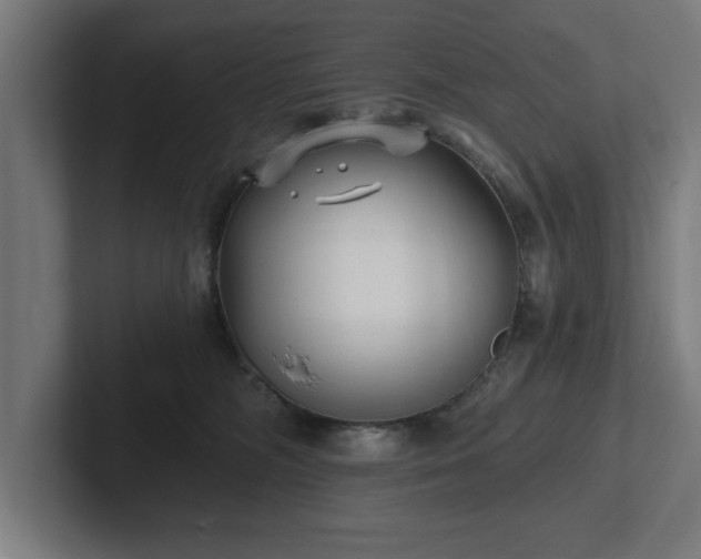 X0000102310326200808011428