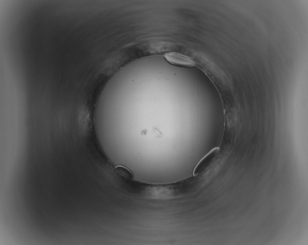 X0000102310327200808011428