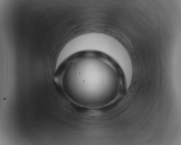 X0000102310328200808011428