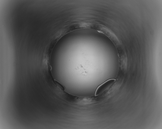 X0000102310329200808011428