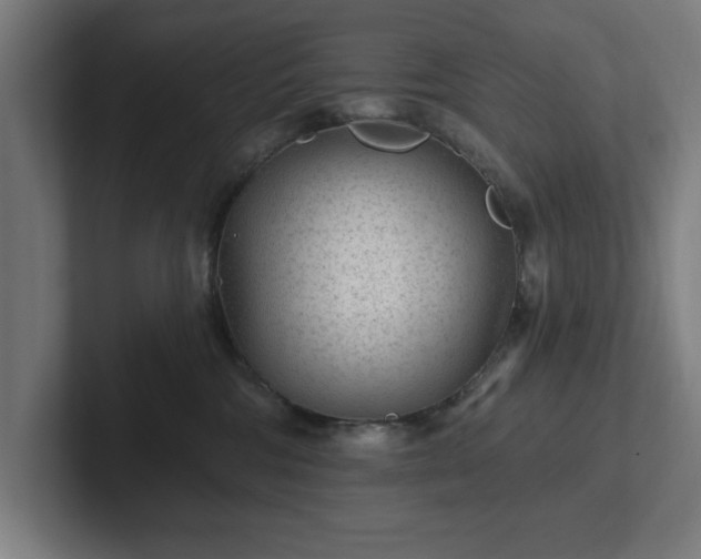 X0000102310330200808011428