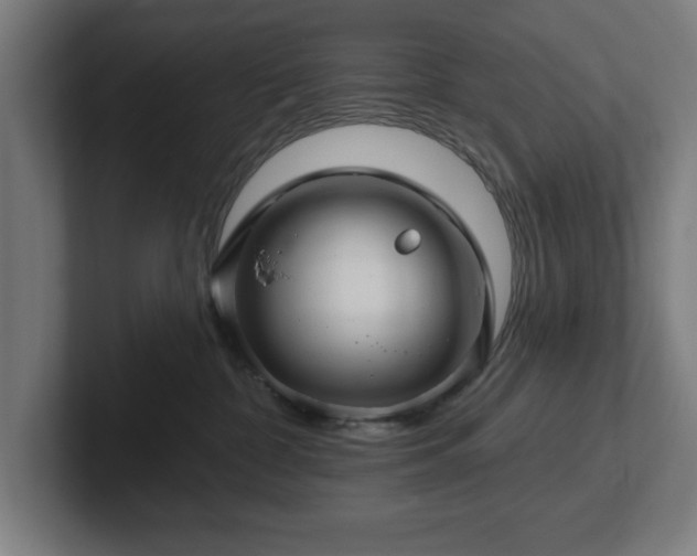 X0000102310332200808011428