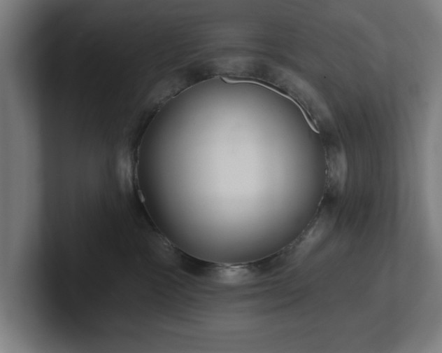 X0000102310333200808011428