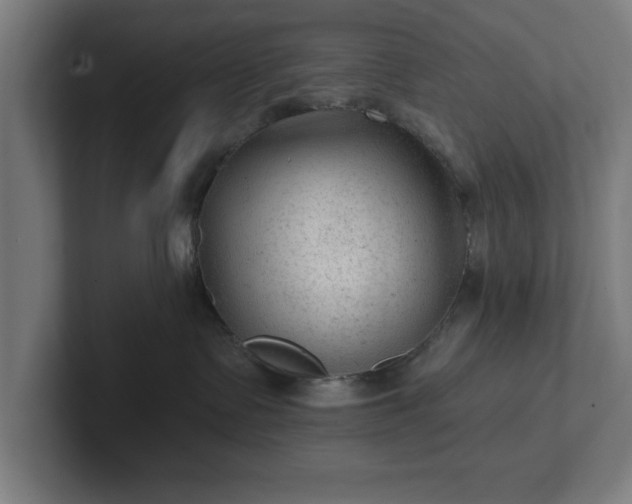 X0000102310335200808011428