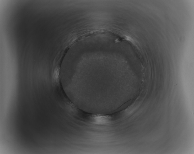 X0000102310336200808011428