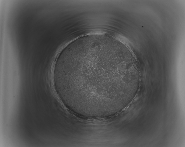 X0000102310337200808011427