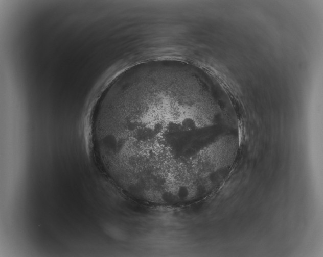 X0000102310339200808011427