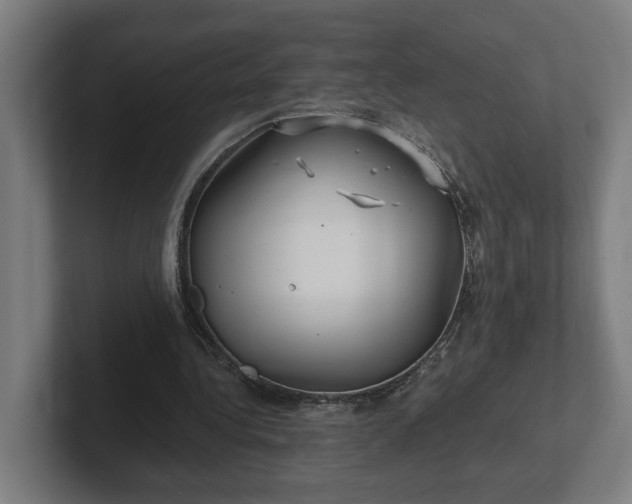 X0000102310340200808011427