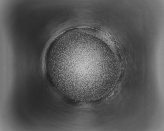 X0000102310343200808011427