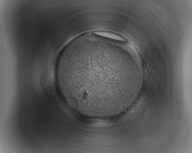 X0000102310347200808011427