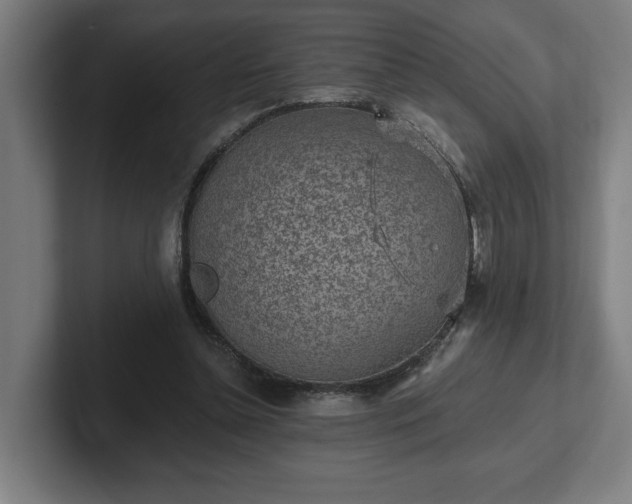 X0000102310348200808011427