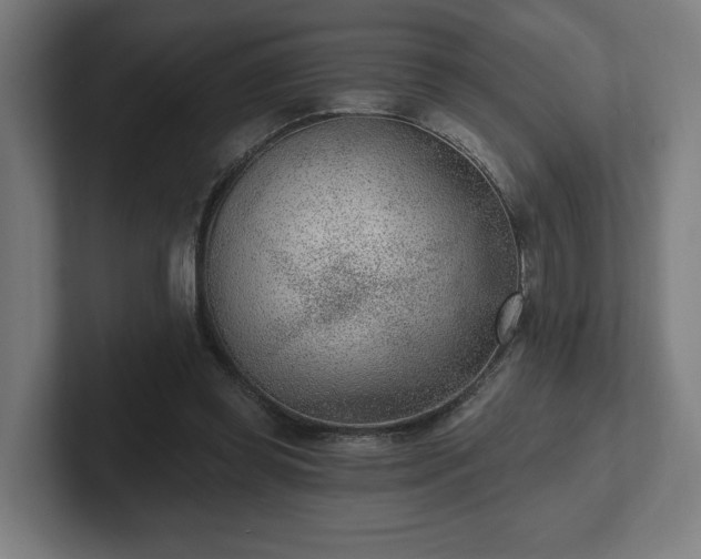 X0000102310349200808011427