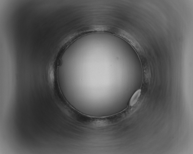 X0000102310350200808011427