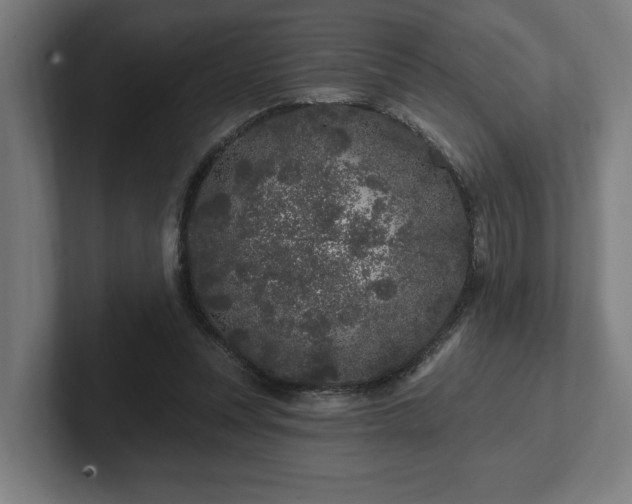 X0000102310351200808011427