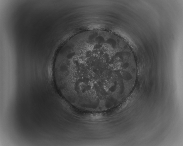 X0000102310353200808011427