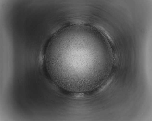 X0000102310355200808011427