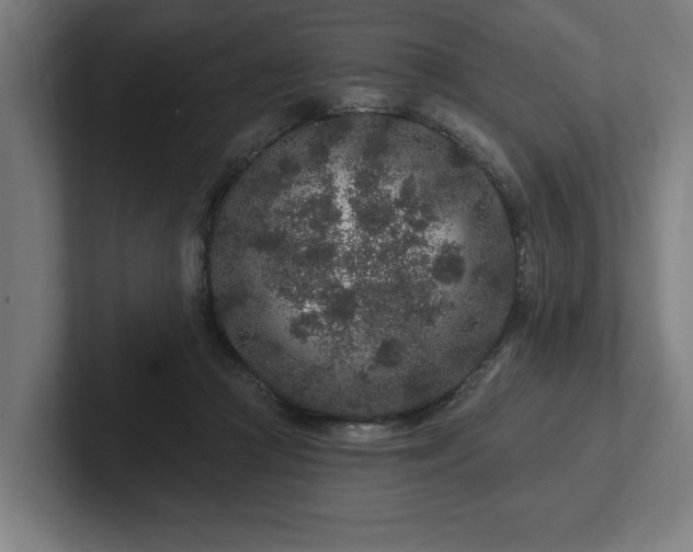 X0000102310361200808011427