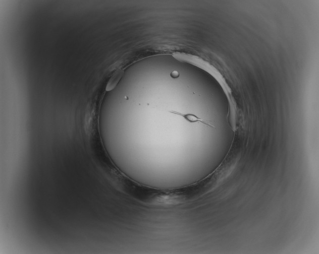 X0000102310364200808011427