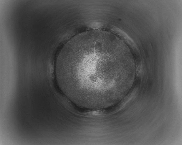 X0000102310365200808011427