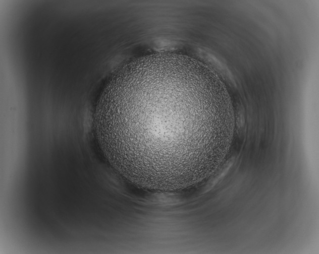 X0000102310367200808011427