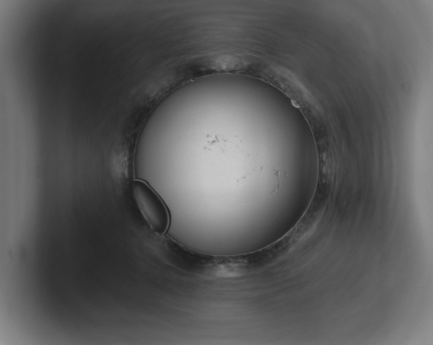 X0000102310368200808011427