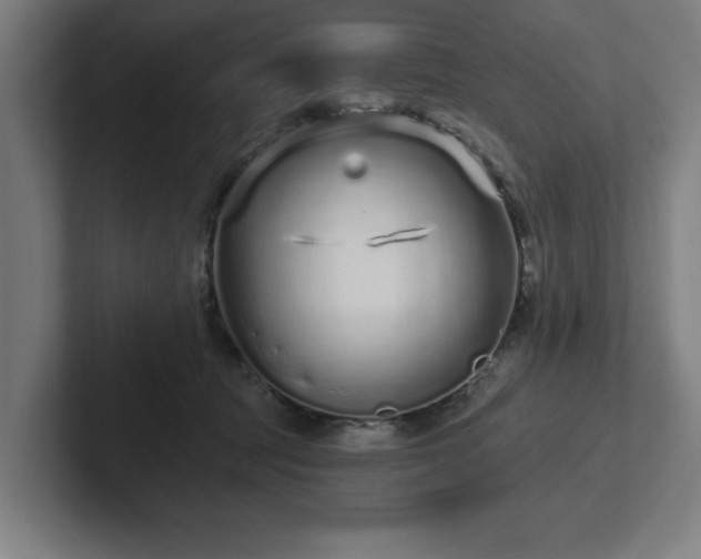 X0000102310369200808011427