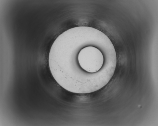 X0000102310370200808011427