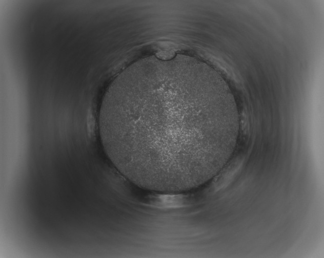 X0000102310371200808011428