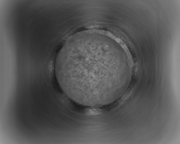 X0000102310372200808011428