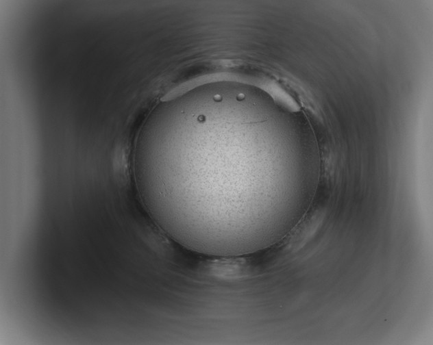 X0000102310373200808011428