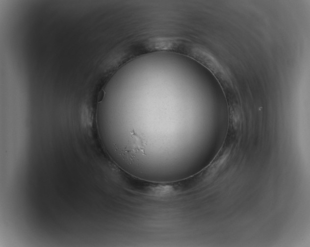 X0000102310374200808011428