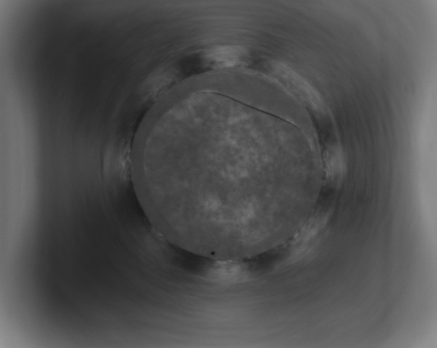 X0000102310376200808011428