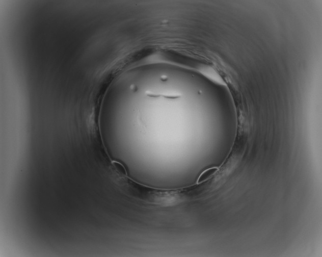 X0000102310377200808011428