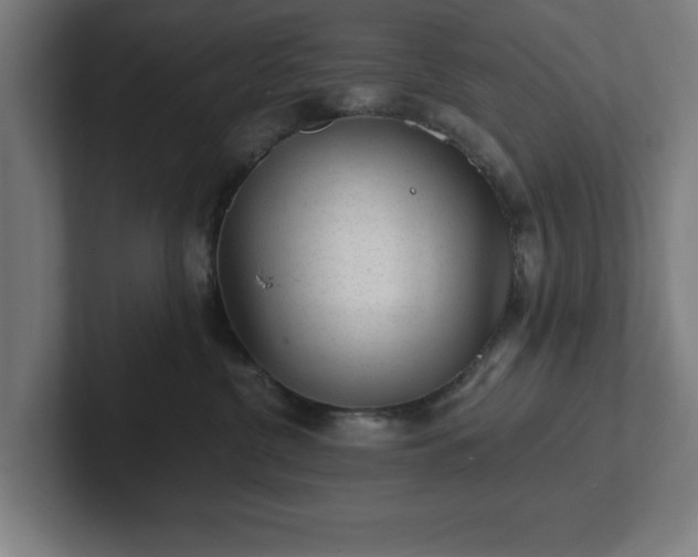 X0000102310380200808011428