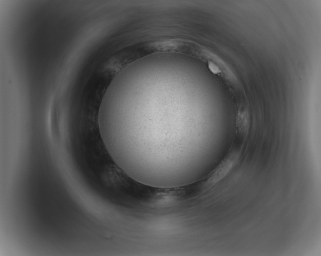 X0000102310381200808011428