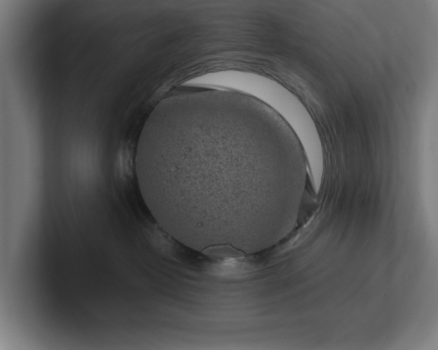 X0000102310382200808011428