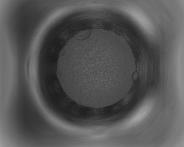 X0000102310383200808011428