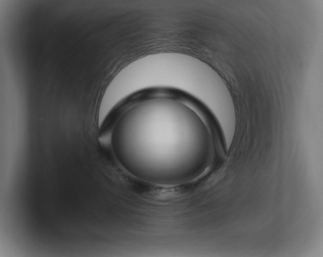 X0000102310384200808011428