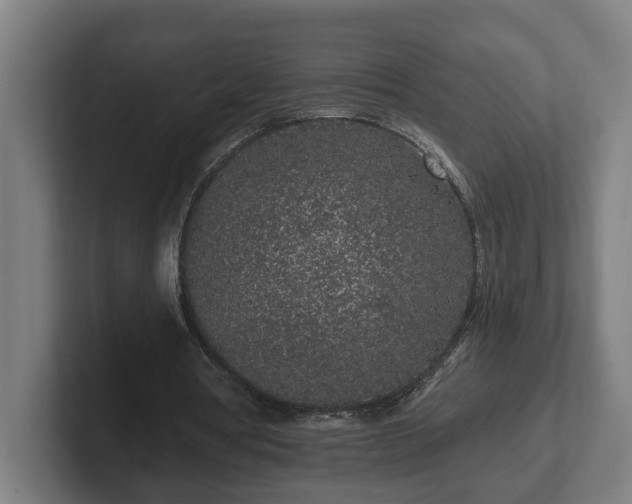 X0000102310386200808011427