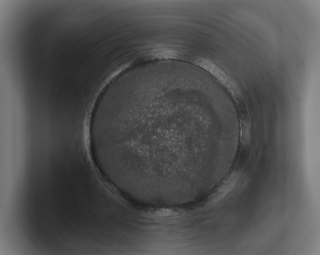 X0000102310390200808011427