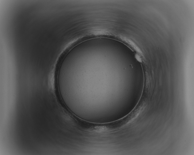 X0000102310391200808011427