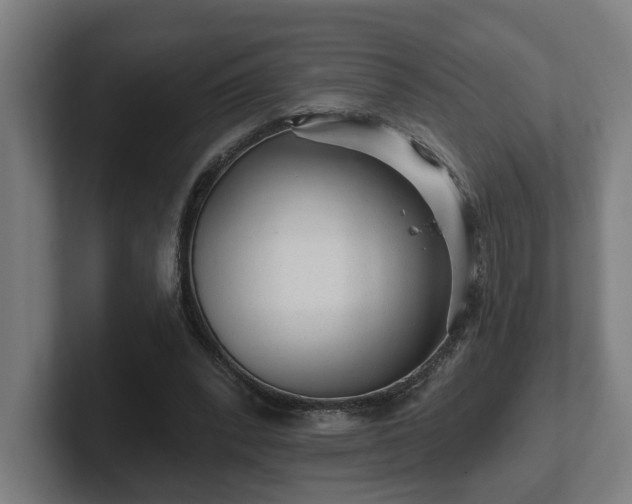 X0000102310392200808011427