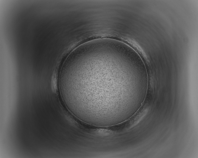 X0000102310393200808011427