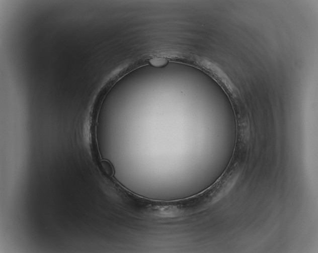 X0000102310395200808011427