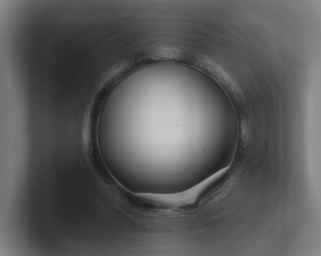 X0000102310396200808011427