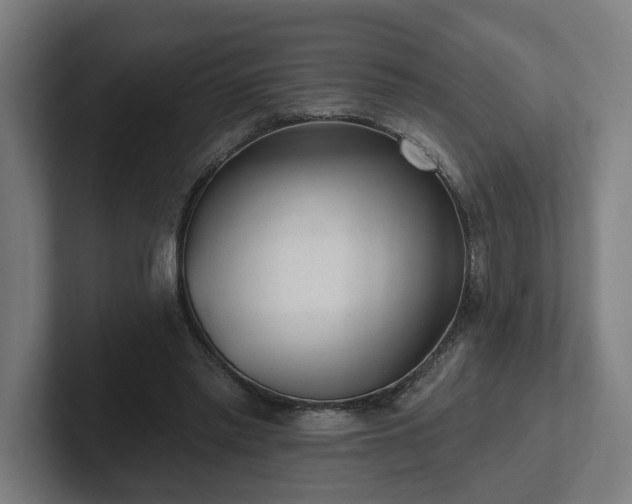 X0000102310397200808011427