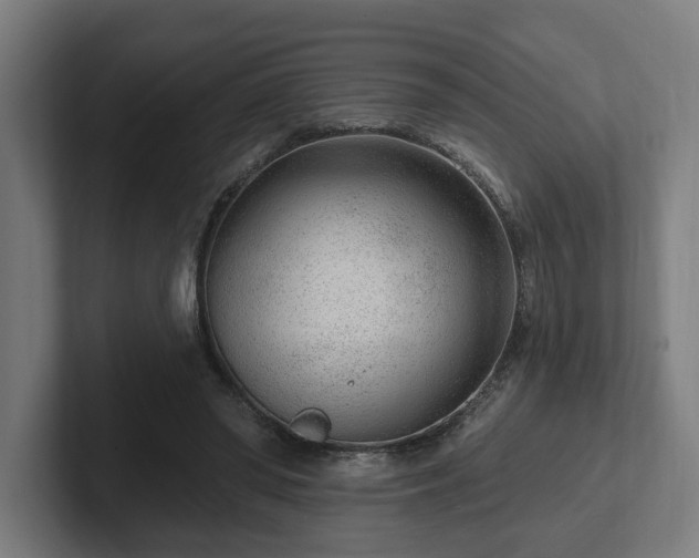 X0000102310398200808011427