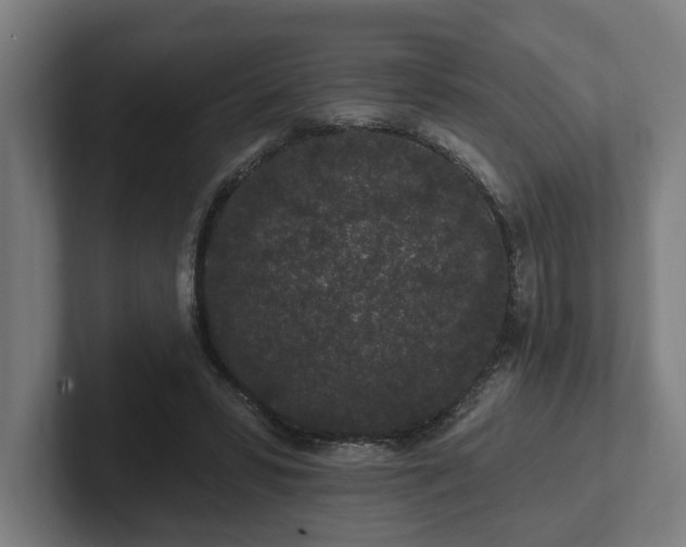 X0000102310399200808011427