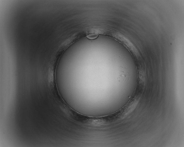 X0000102310401200808011427